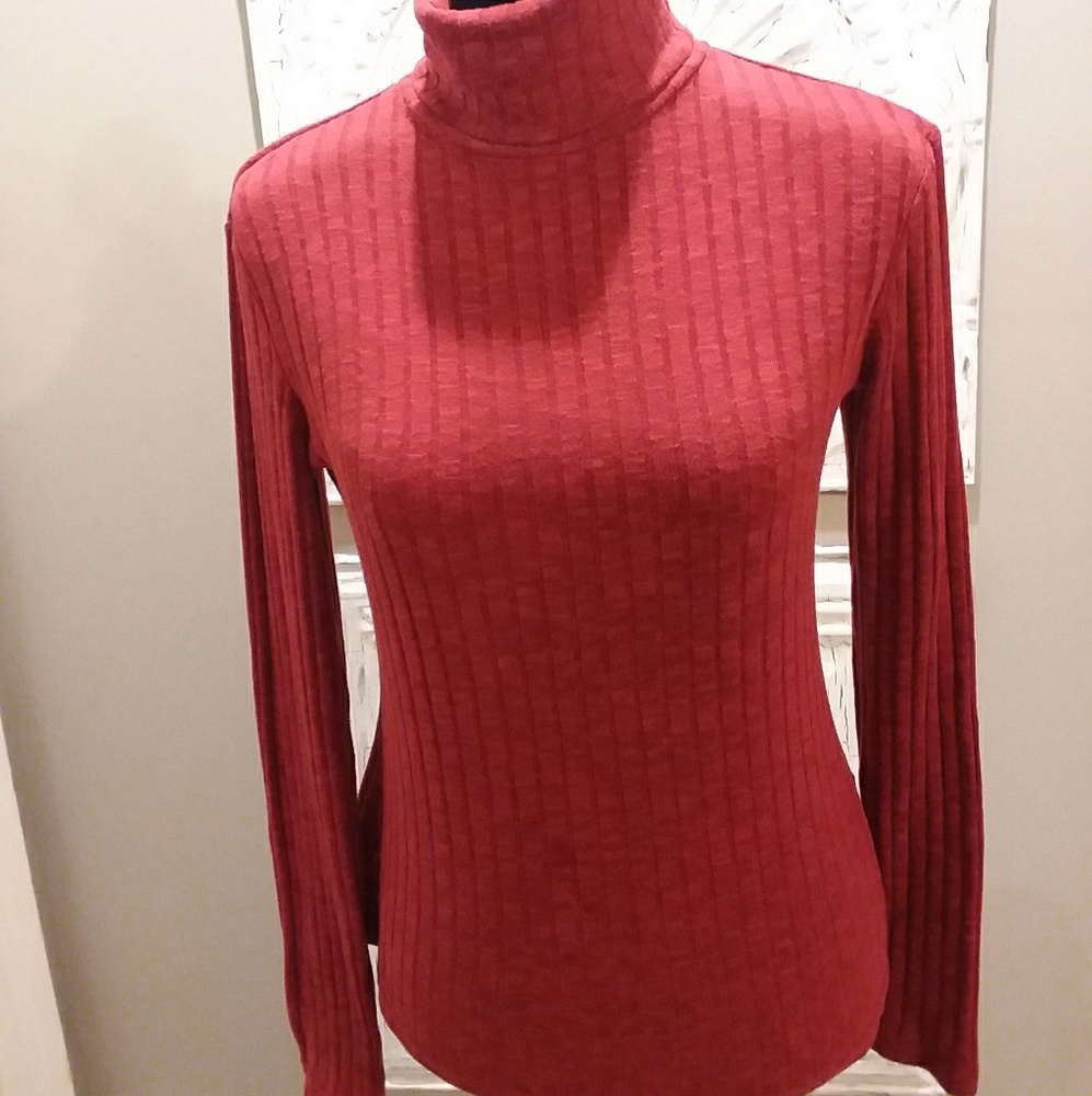 Turtle Neck Sweater